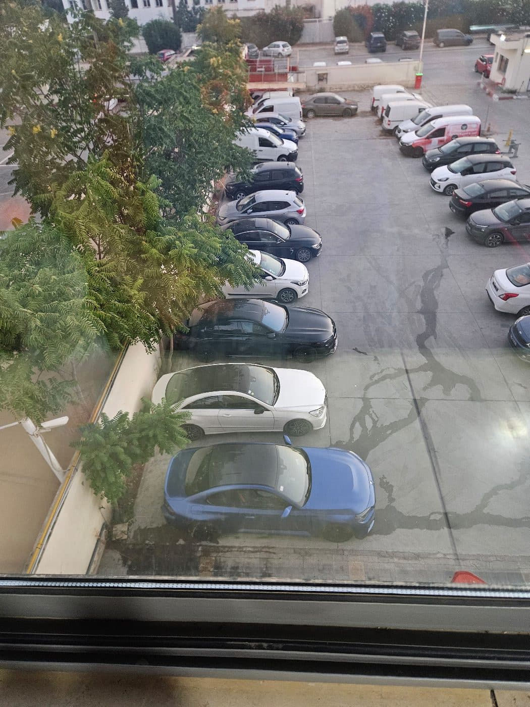 Private driver — photo 1
